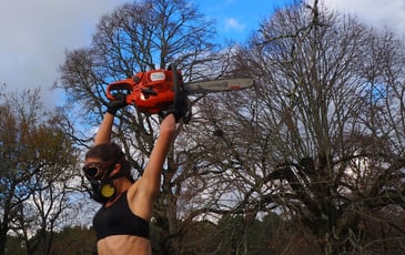 Bestia – Le Jour Juste Après les Forêts