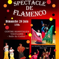 Spectacle flamenco