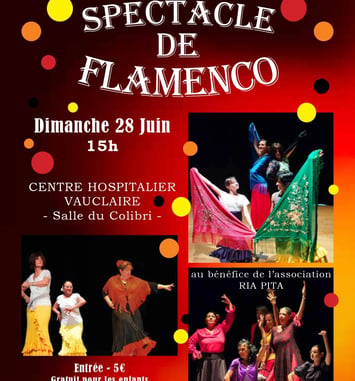 Spectacle flamenco