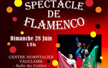 Spectacle flamenco