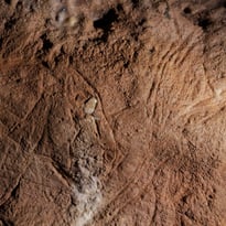 Visite commentée : découverte d'une grotte ornée du Paléolithique !