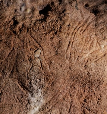 Visite commentée : découverte d'une grotte ornée du Paléolithique !