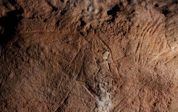 Visite commentée : découverte d'une grotte ornée du Paléolithique !
