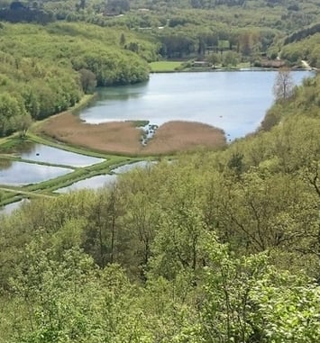 À la découverte de la biodiversité des étangs de Valojoulx