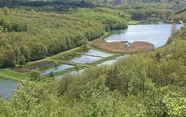 À la découverte de la biodiversité des étangs de Valojoulx