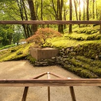 Visite libre : déambulation au coeur des jardins de l'imaginaire.
