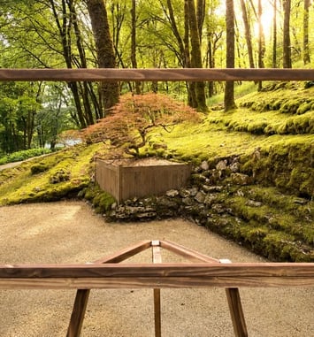 Visite libre : déambulation au coeur des jardins de l'imaginaire.