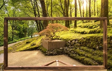 Visite libre : déambulation au coeur des jardins de l'imaginaire.