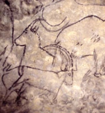 Visite guidée de la Grotte de Rouffignac
