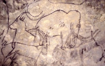 Visite guidée de la Grotte de Rouffignac