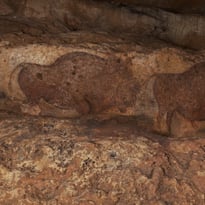 Visite guidée d'une grotte préhistorique ornée du Paléolithique