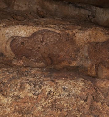 Visite guidée d'une grotte préhistorique ornée du Paléolithique