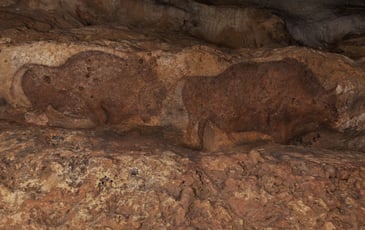 Visite guidée d'une grotte préhistorique ornée du Paléolithique