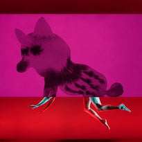 Des chimères dans la tête