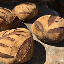 Démonstration de cuisson de pain dans le four banal du XIVe siècle