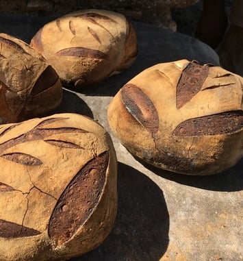 Démonstration de cuisson de pain dans le four banal du XIVe siècle