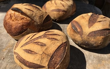 Démonstration de cuisson de pain dans le four banal du XIVe siècle