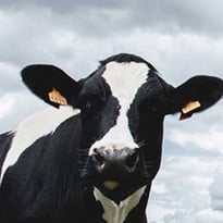 Nourrir l’humanité c’est un métier