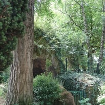Sauvées par un jardin ! Les Arènes de Périgueux du Ier siècle à nos jours