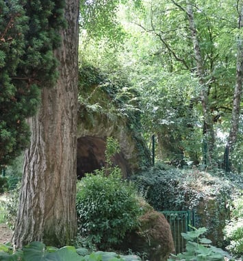 Sauvées par un jardin ! Les Arènes de Périgueux du Ier siècle à nos jours