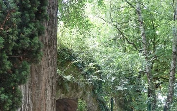 Sauvées par un jardin ! Les Arènes de Périgueux du Ier siècle à nos jours