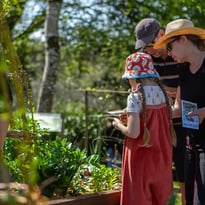 Visite en autonomie des jardins