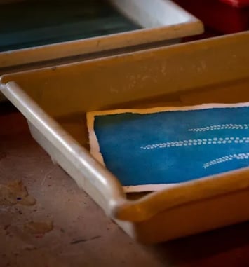 Atelier cyanotype