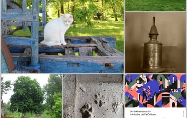Exposition : patrimoine et bestiaire