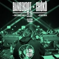 Bandikoot