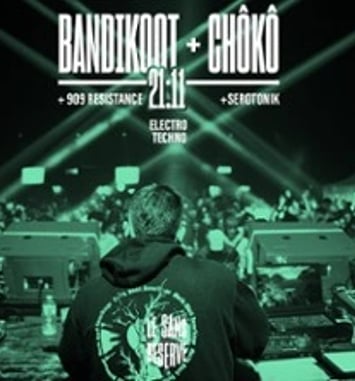 Bandikoot