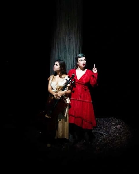 Birds on a wire : Dom La Nena & Rosemary Standley