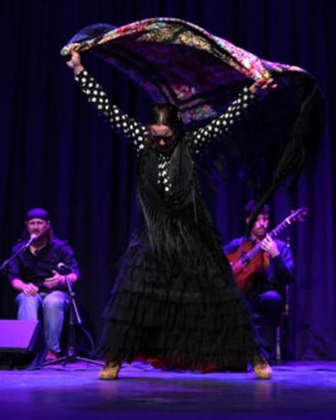 Flamenco en resistencia