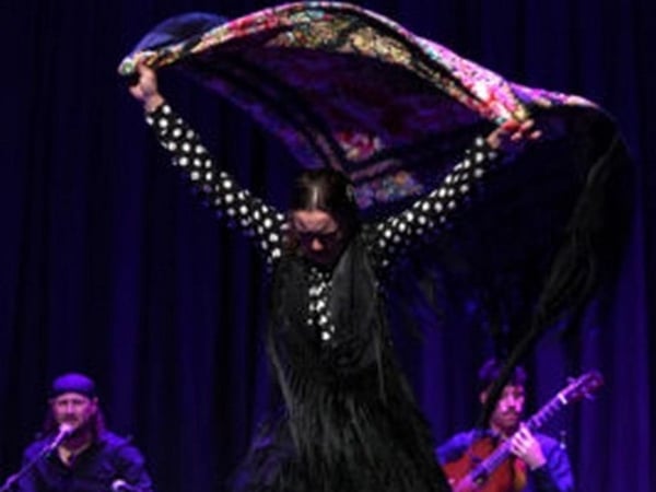 Flamenco en resistencia