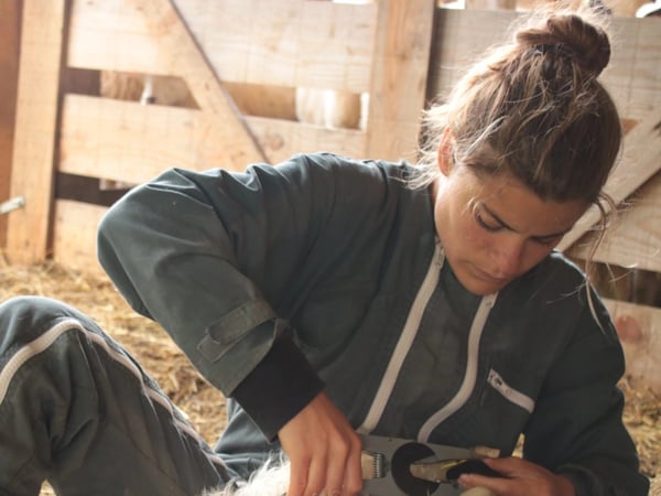 Exposition - Le champ des femmes