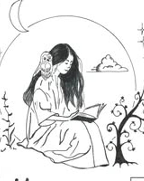 20ème festival Ren'Conte à Ciel Ouvert