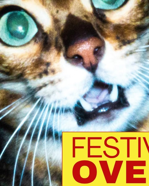 Rocksane | Festival Overlook