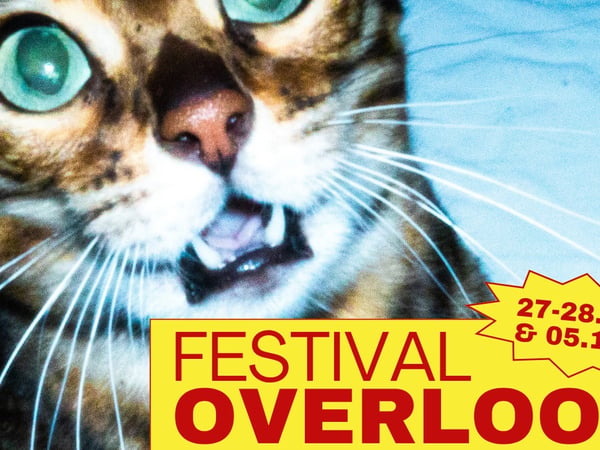 Rocksane | Festival Overlook