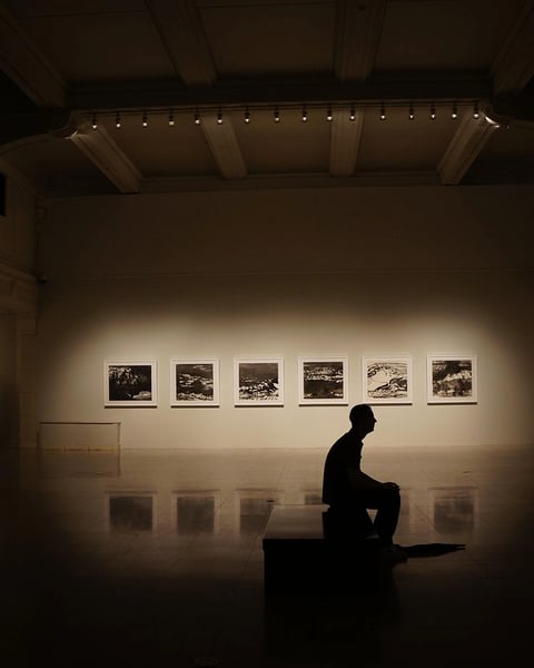 Exposition "Entre Racines et Songes" à la Médiathèque