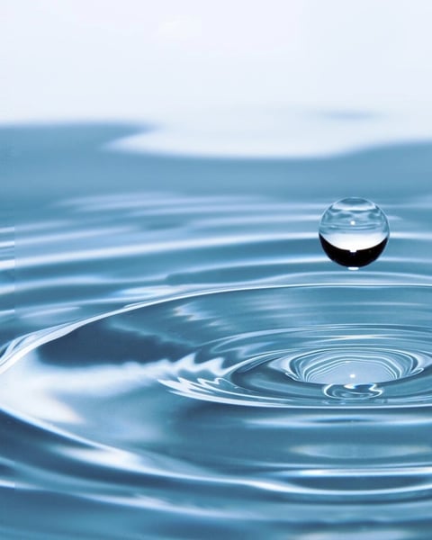 Exposition "L'eau, une richesse à préserver"