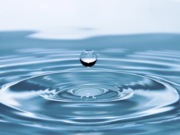 Exposition "L'eau, une richesse à préserver"