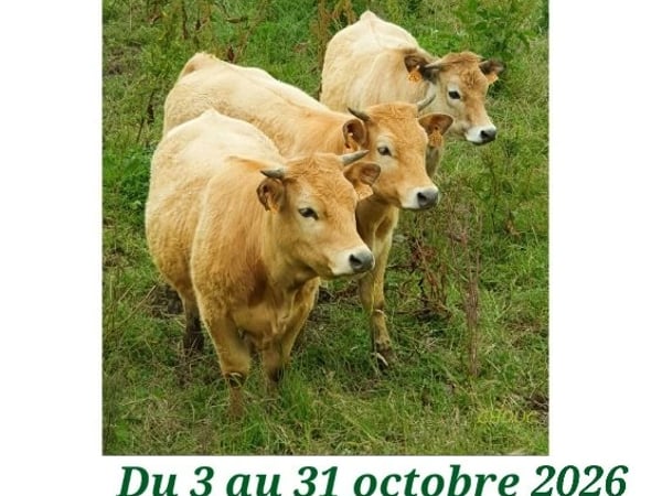 Exposition photos: Catherine Poux-Moine